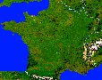 Les huîtres en France