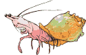 bigorneaux