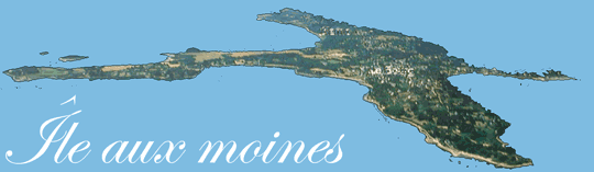 île aux moines