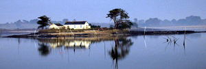 Île du Golfe du Morbihan