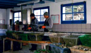 Detroquage au chantier